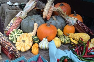 Poplar Wood Farm