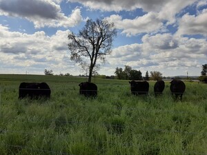 Weaver Family Farm & Orchard