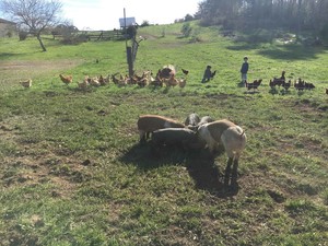 King Family Farmstead