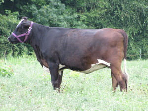 Patient Acres Farm LLC