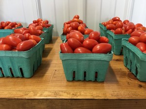 Windy Acres Farm