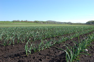 J Glebocki Farms
