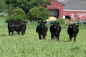 Clay Hill Farm