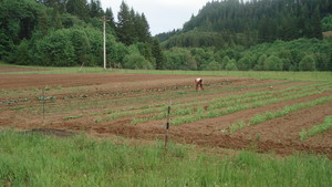 Neil Creek Farm