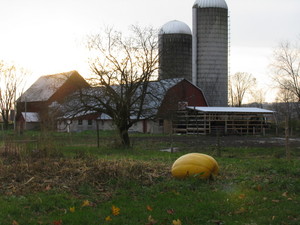 Mierek's Sunny Brook Farm and Garden Share