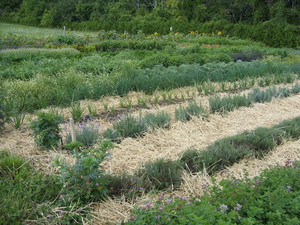 Windstone Farm
