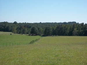 G1ranch