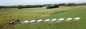 Nature Ridge Farm