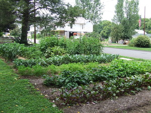 Serious Farms