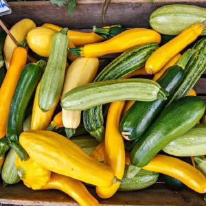 Harvest Tide Organics