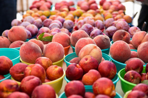 Ferry Plaza Farmers Market
