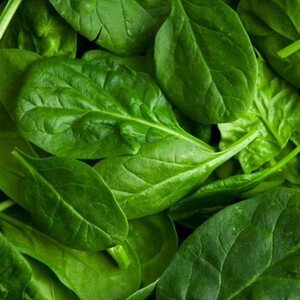 Harlequin Produce