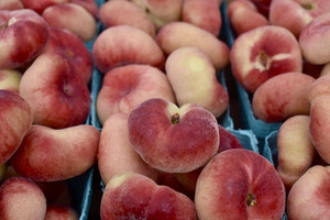 Belmont Farmers' Market