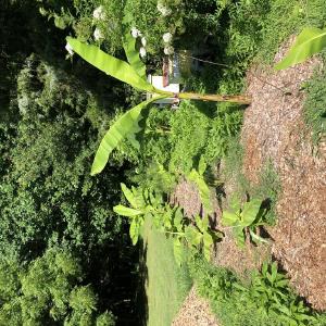 Mint Hill Peace of Heaven Farm