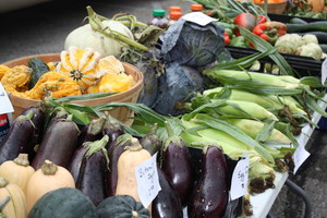 Stojan's Vegetables