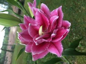 Baxter Family Farm, LLC