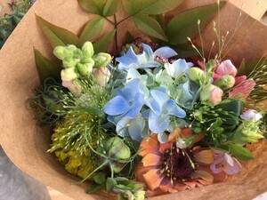 Holly Springs Farmers Market