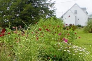 Sage Hill Farms