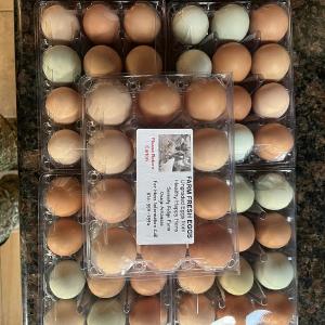 Serenity Ridge Farm