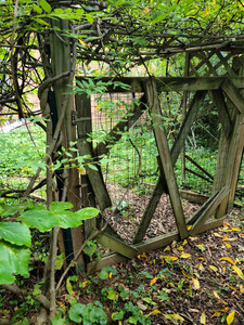 InnerSource Wellness Center and Urban Regenerative Sustainability