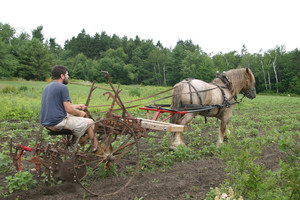 Pioneer Valley Heritage Grain CSA