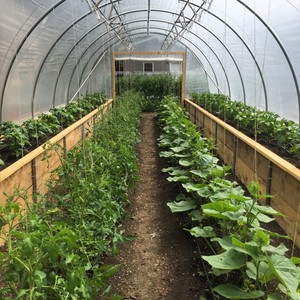 Chain Reaction Urban Farm
