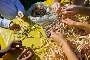 Hiram Farm Living & Learning Community