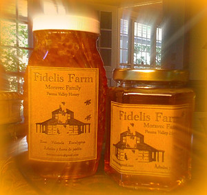 Fidelis Farm
