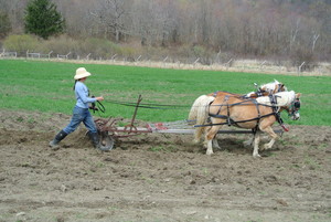Full Circus Farm