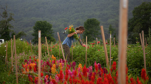 Maitri Farm