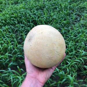 Farm Picked LLC