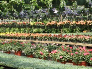 Creekside Nursery