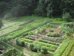 Myriad Growers LLC at JEAN's Urban Forest Farm