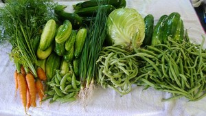 Andrews Family Farm