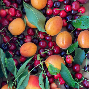 San Ramon Farmers Market