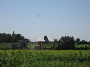 Marshall County Market