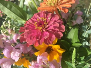 Baxter Family Farm, LLC