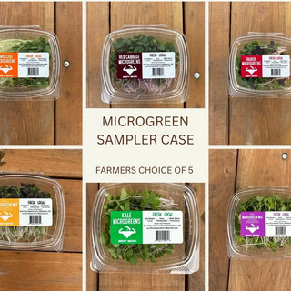 Bayfield Foods CSA