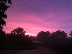 Ritter Farm