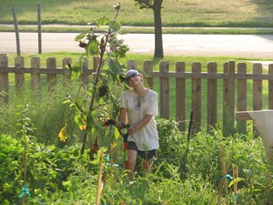 Darko Urban Farm