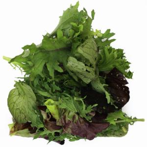 Daybreak Growers Alliance