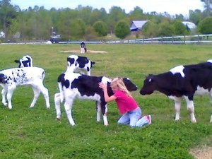 Jamare Farm