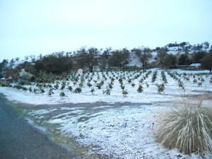 Jordan Family Farms