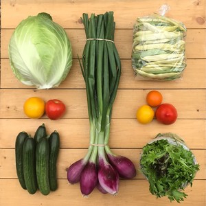 Chain Reaction Urban Farm