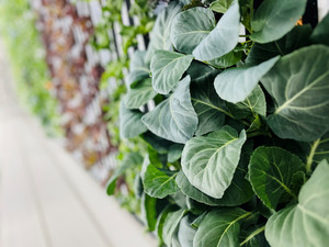 GetBlok Farms