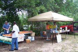 The Moess Center for the Arts & City Farm