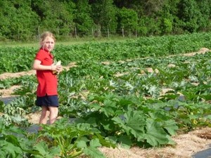 Sweetfields Farm