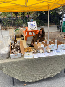 Down to Earth Park Slope Farmers Market