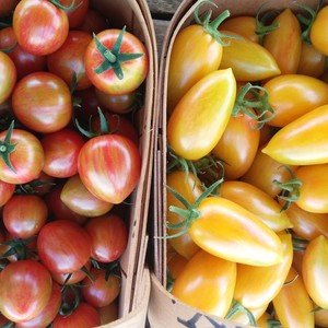 Footstep Organics