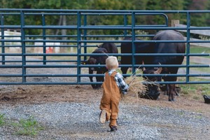 Mulberry Farm